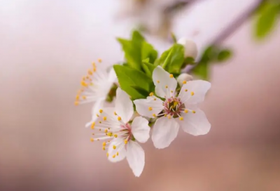 ​现在是造句,用现在是怎么造句