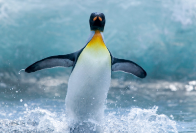 ​公道自在人心造句,用公道自在人心怎么造句