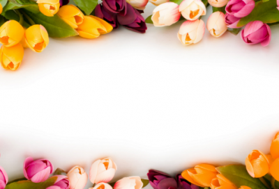 ​颇有造句,用颇有怎么造句