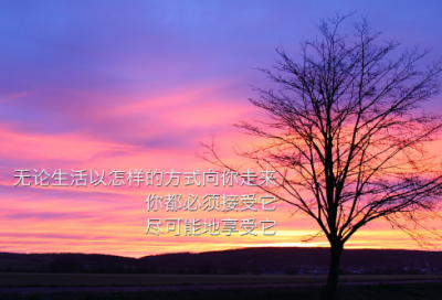 ​谒造句,用谒怎么造句