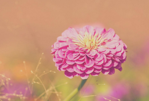 1708189720206785.png image.png