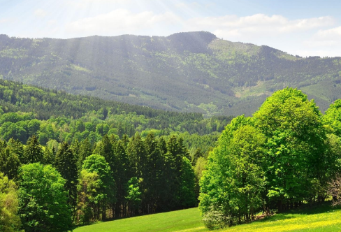 1708189886818997.png image.png