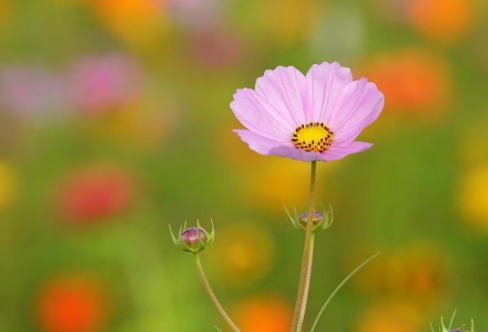 1708190886979954.png image.png