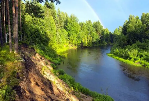 1708192219410704.png image.png