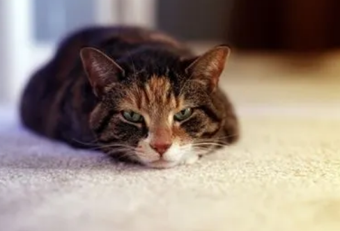 1708192885867358.png image.png