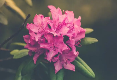 1708193385289666.png image.png