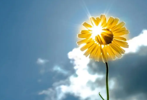 1708193718845856.png image.png