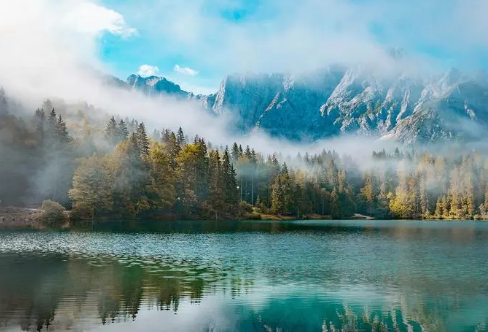 1708194551814501.png image.png