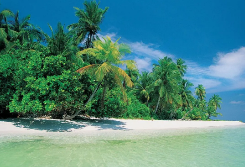 1708194718150281.png image.png