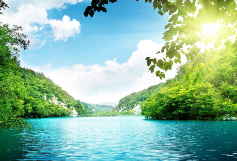 1708195550980932.png image.png