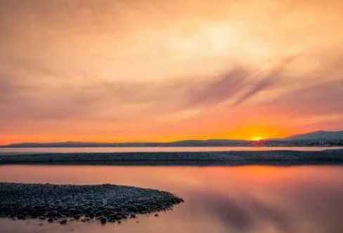 1708195716332462.png image.png