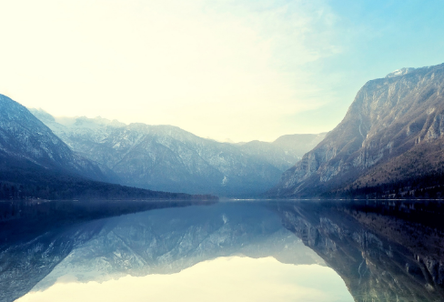 1708196382295129.png image.png