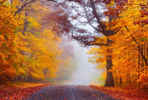 1708197715830879.png image.png