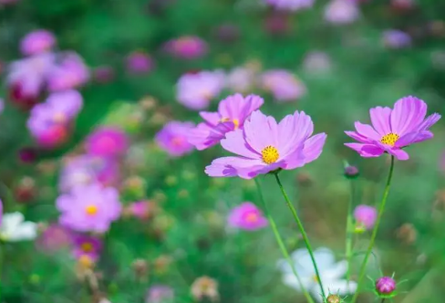 1708197882734544.png image.png