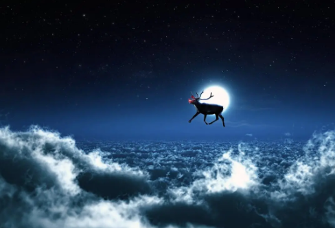 1708198880102538.png image.png