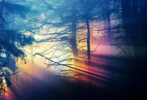 1708204041266615.png image.png