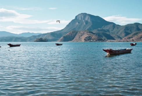 1708213862920828.png image.png