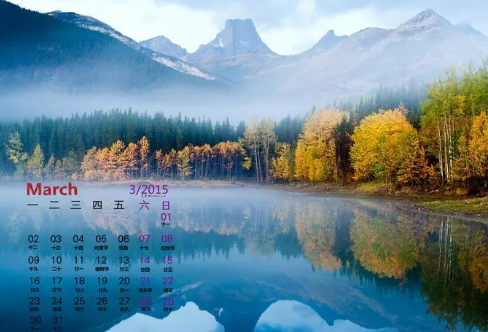 1708220519934440.png image.png