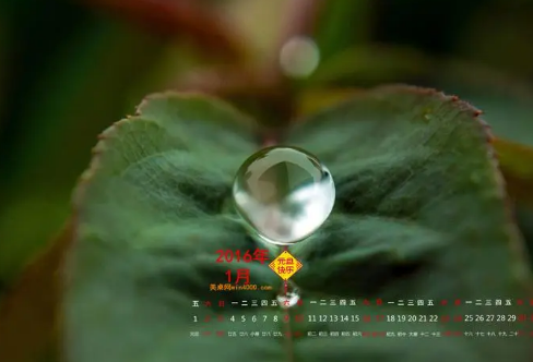 1708227344442890.png image.png