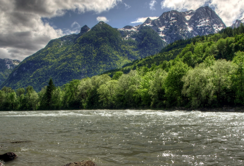 1708235666930524.png image.png