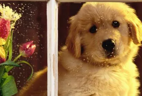 1708235833381392.png image.png