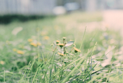 1708236166789947.png image.png