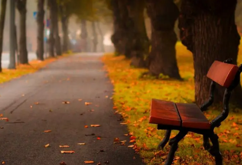 1708236832760709.png image.png