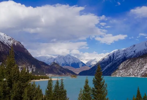 1708237498268639.png image.png