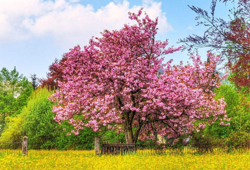 1708241995846311.png image.png