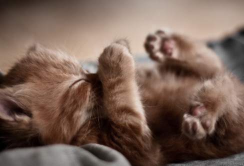 1708242661201295.png image.png