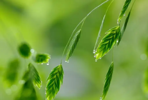 1708242994223954.png image.png