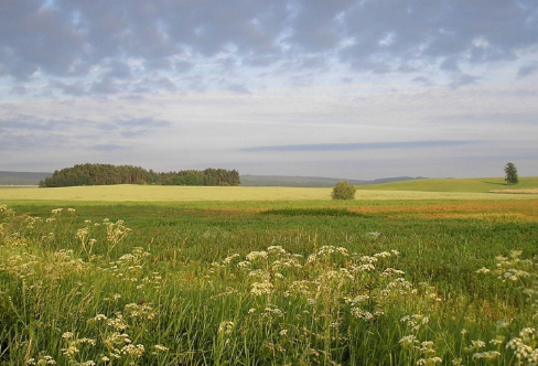 1708243994179973.png image.png