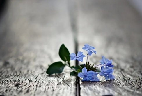 1708244493479482.png image.png