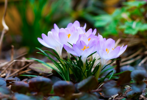 1708244825288552.png image.png