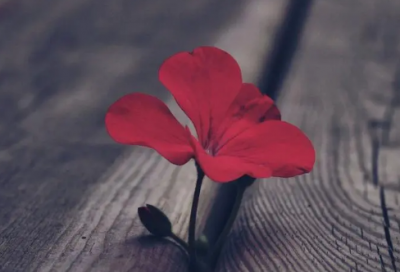 ​感谢领导的话怎么说 感谢公司领导的话怎么说