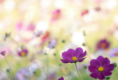 1708539769300160.png image.png