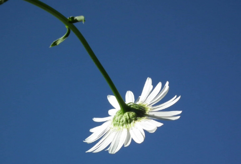 1708539936178362.png image.png