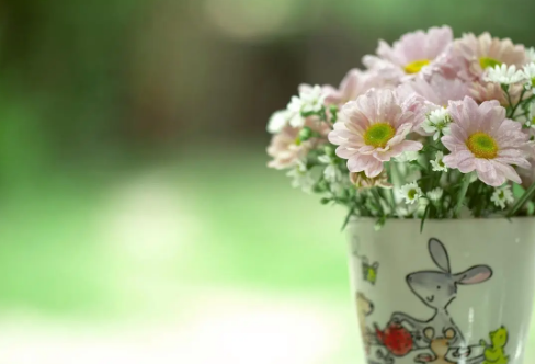 1708540601263953.png image.png