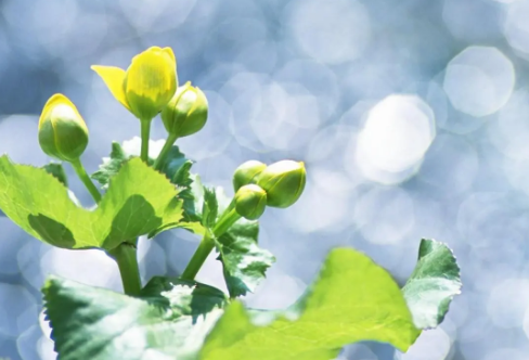 1708540935510441.png image.png