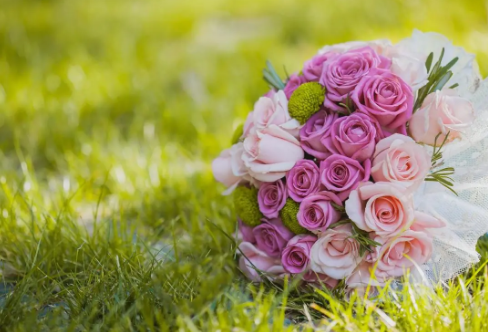 1708541101386275.png image.png