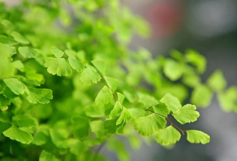 1708541435288426.png image.png