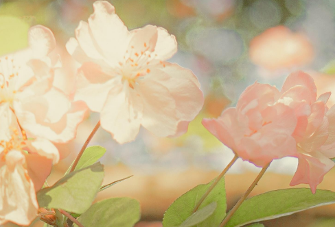 1708541601945054.png image.png