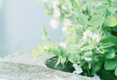 1708541768716406.png image.png