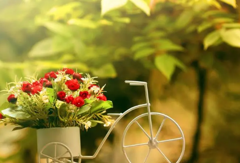 1708541934557170.png image.png