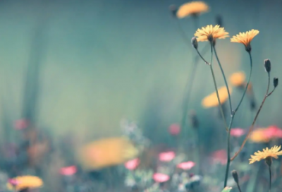 ​关于夜里下雨的说说 夜里下雨天的心情说说