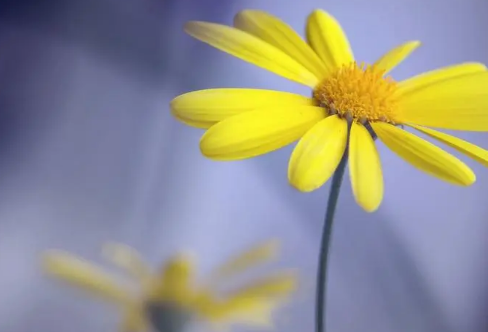 1708546762162474.png image.png