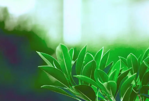 1708547095545917.png image.png