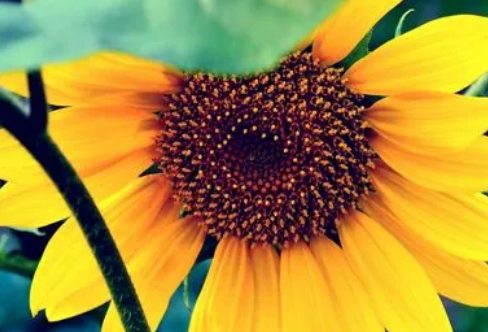 1708547261450711.png image.png