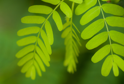 1708547594133556.png image.png