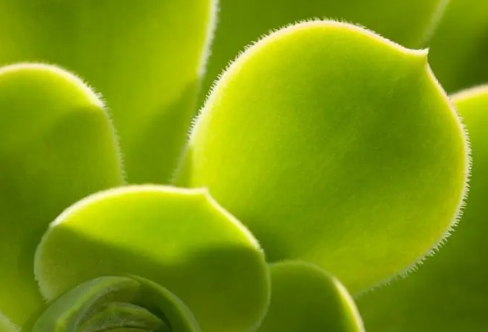 1708548093467880.png image.png